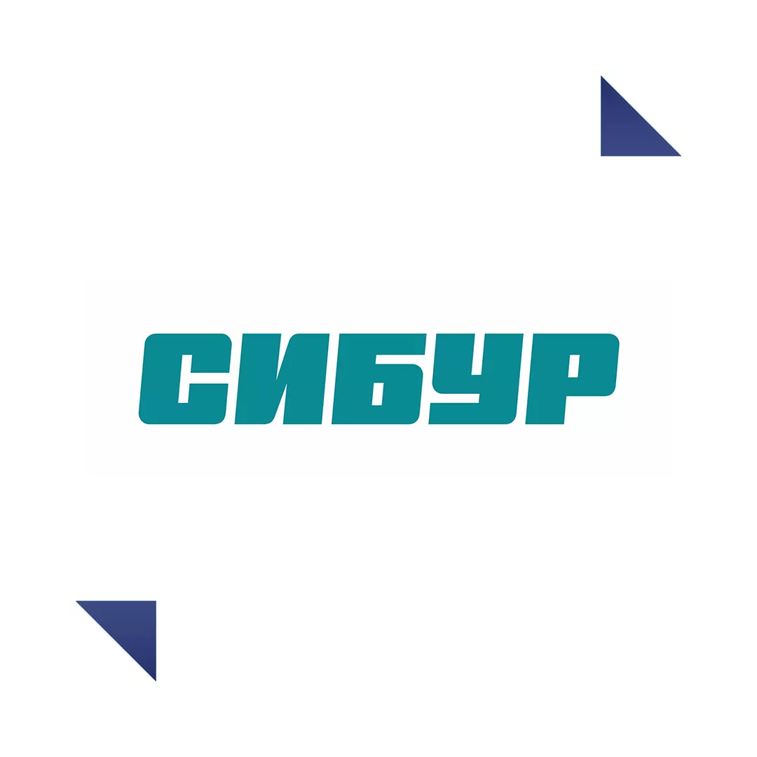 СИБУР Холдинг
